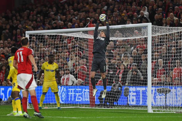 的比赛履历 的比赛履历